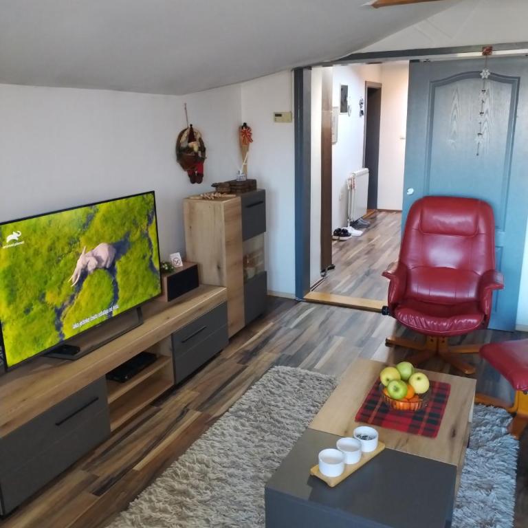 Apartment Viktor - Apartman sa 2 Spavaće Sobe - 35