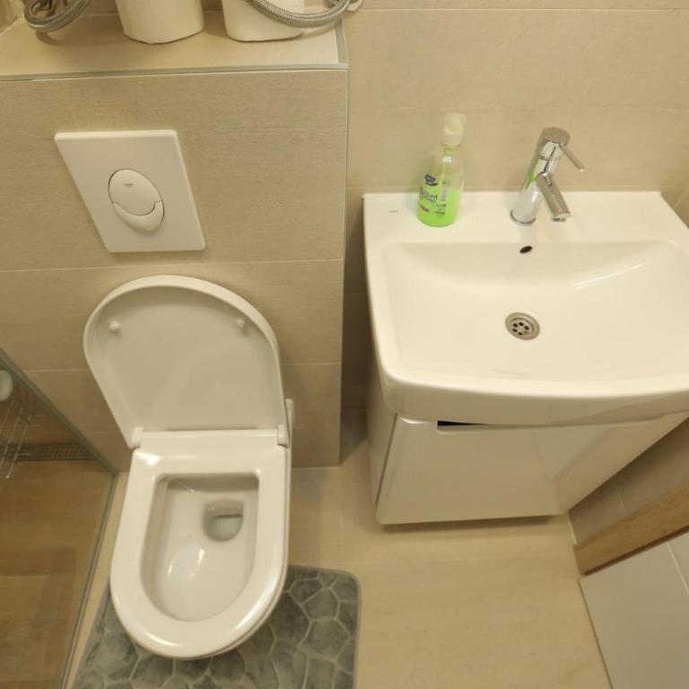 M&G2 Jahorina - Apartman sa 1 Spavaćom Sobom - 11