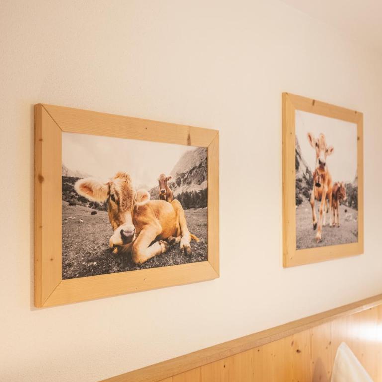 Tauerncamping Apartment - Appartamento con 2 Camere da Letto - 34