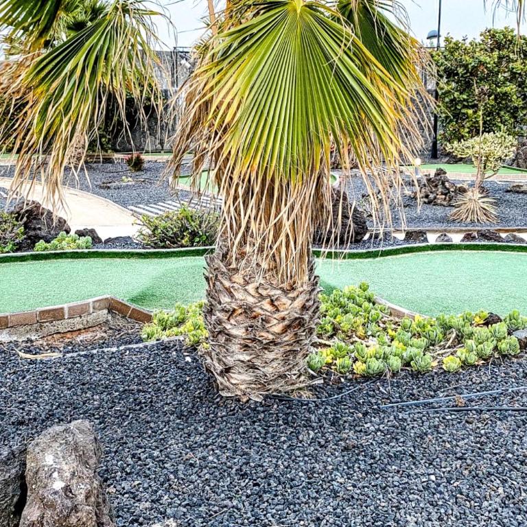 Villa Origo Mare 1236 in Majanicho - Villa de 3 dormitorios - 37