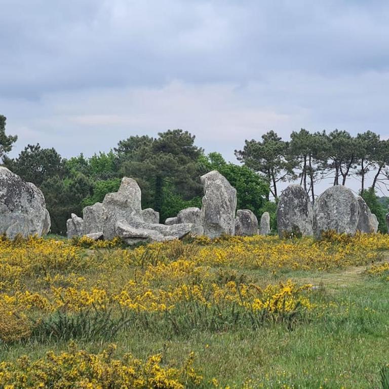 Superbe appartement en plein centre de Carnac - One-Bedroom Apartment - 20