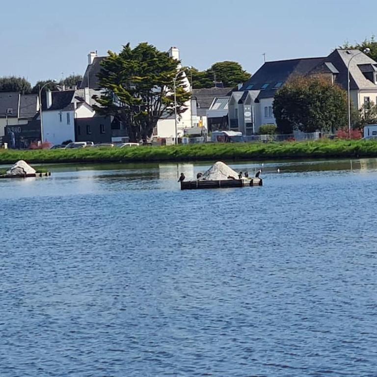 Superbe appartement en plein centre de Carnac - One-Bedroom Apartment - 23