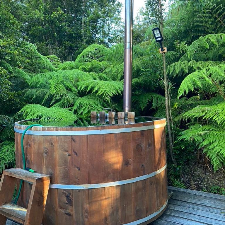 Cabañas & Tinajas Entre Volcanes - Two-Bedroom Apartment - 13