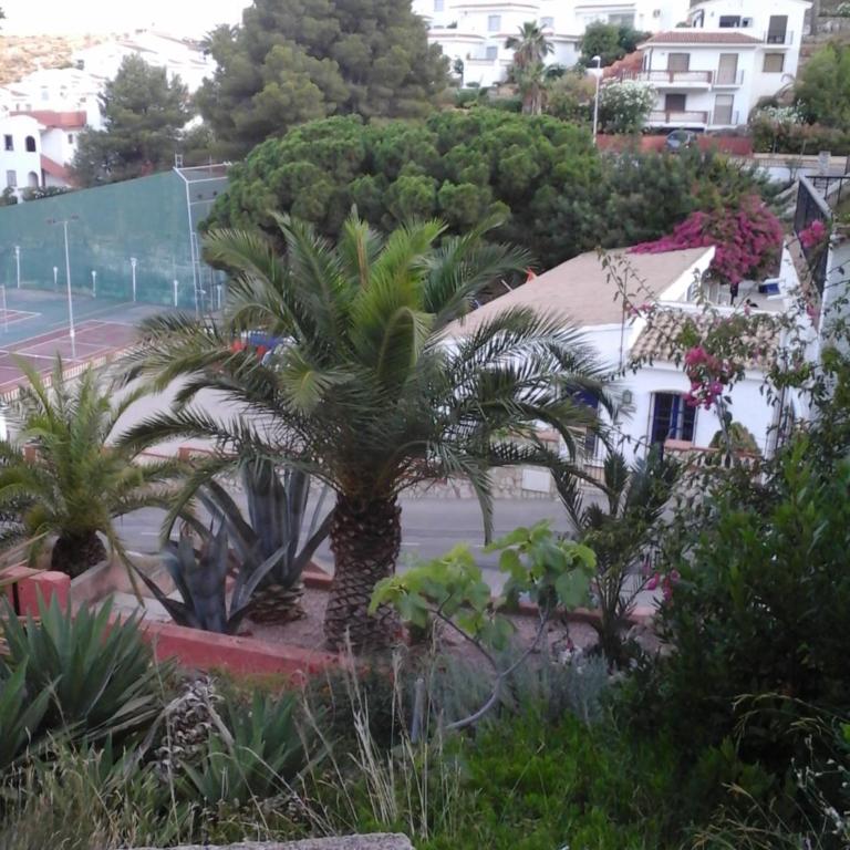 El nispero - Casa de 2 dormitorios - 8