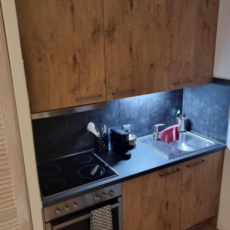 Superbe studio avec parking privé - Studio - Vue sur Montagne - 11
