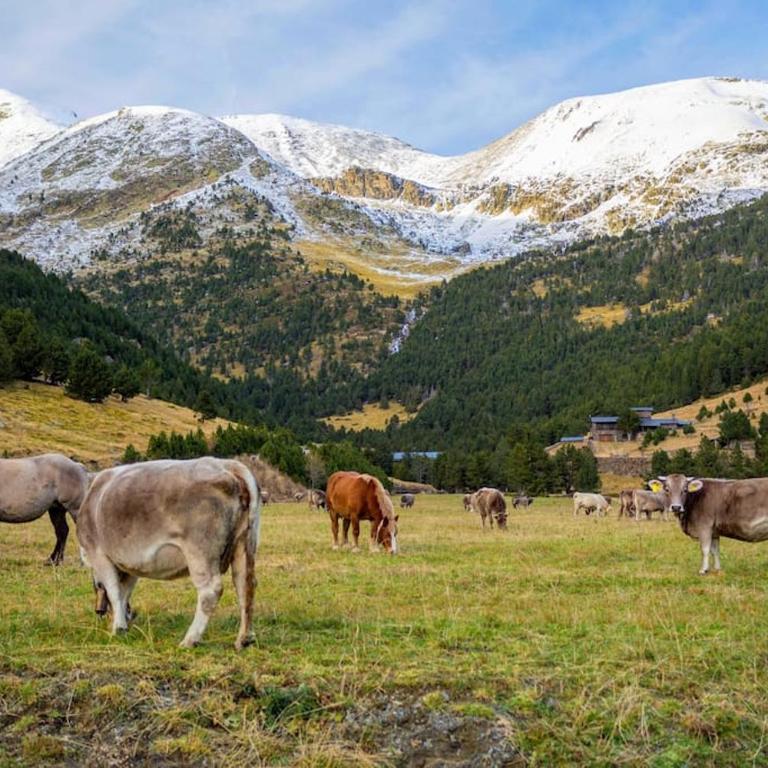 R Valle de Incles-Grandvalira FREE Parking - Apartamento de 2 dormitorios - 9