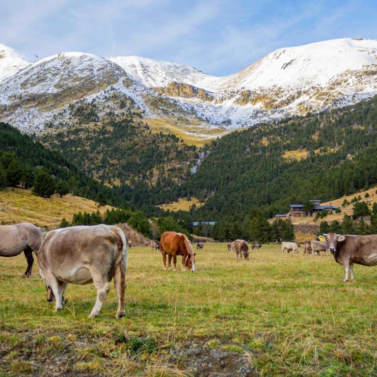 R Valle de Incles-Grandvalira FREE Parking - Apartamento de 2 dormitorios - 30