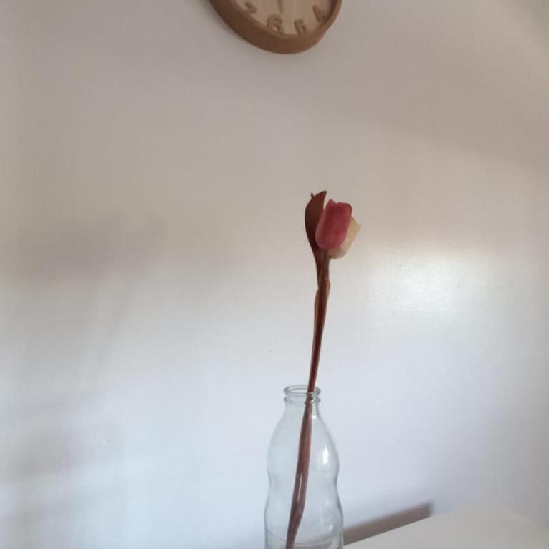 Depto calle 18 - soleado y con balcon - Apartamento - 23