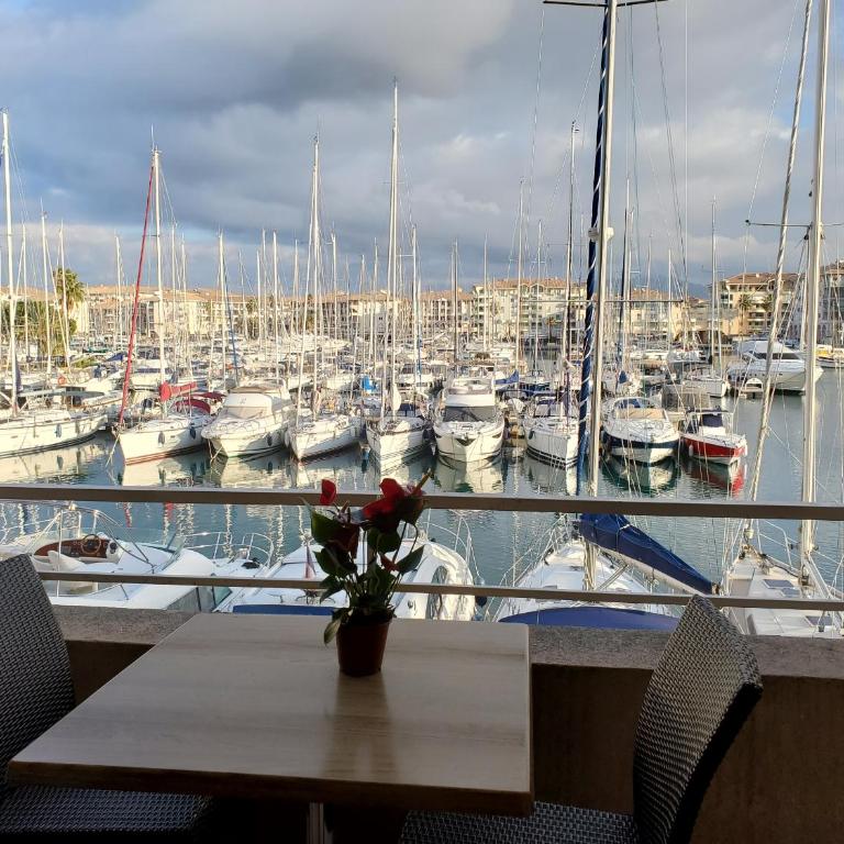 Cap HERMES Vue PORT Studio 30m2 Climatise Piscine - Estudio con vistas al mar - 1