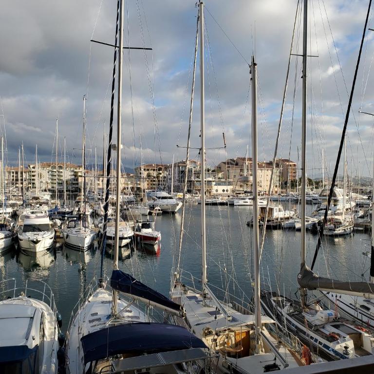 Cap HERMES Vue PORT Studio 30m2 Climatise Piscine - Estudio con vistas al mar - 12