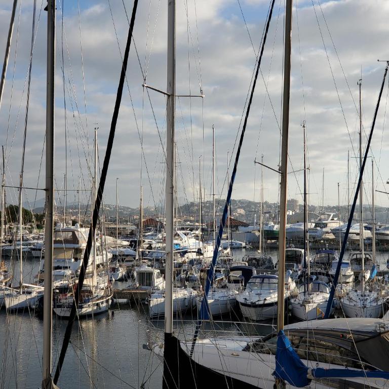 Cap HERMES Vue PORT Studio 30m2 Climatise Piscine - Estudio con vistas al mar - 15
