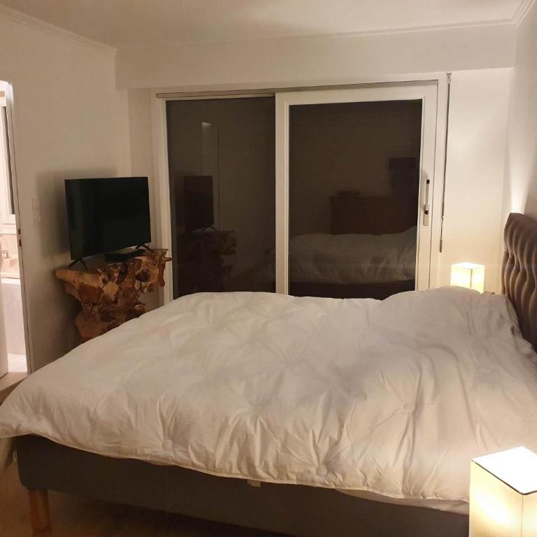 Appartement 150m2 - 5mn du téléphérique de l'Olympe - domaine des 3 vallées - Appartement Deluxe - 26