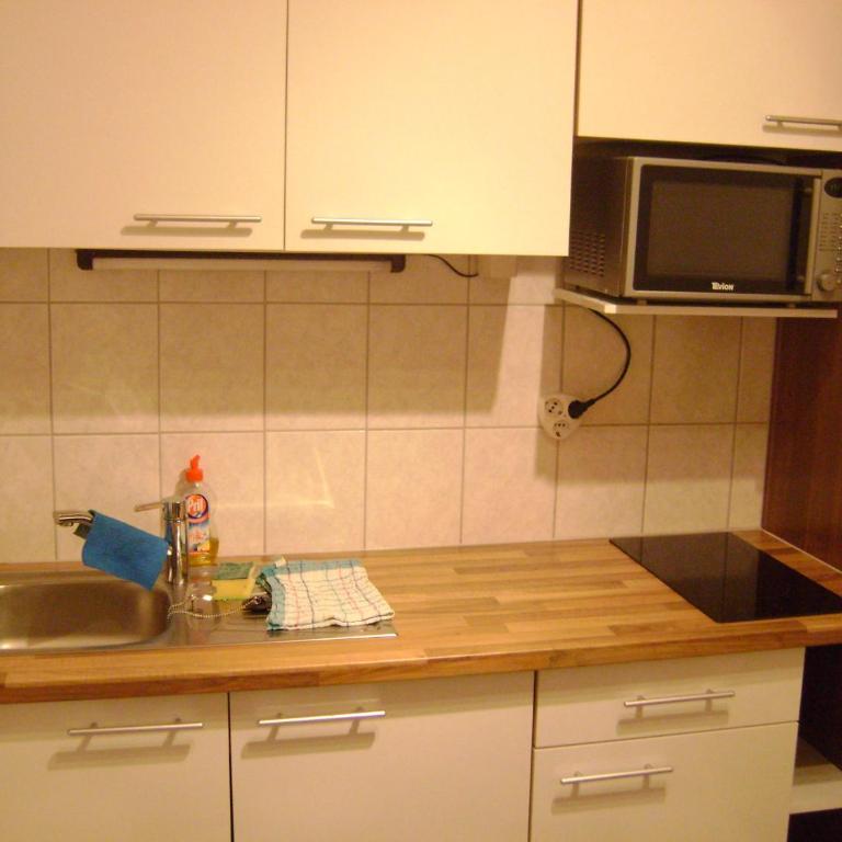 Ferienwohnung - Apartment Pichlarn Irdning - Apartment mit 1 Schlafzimmer und Balkon - 82