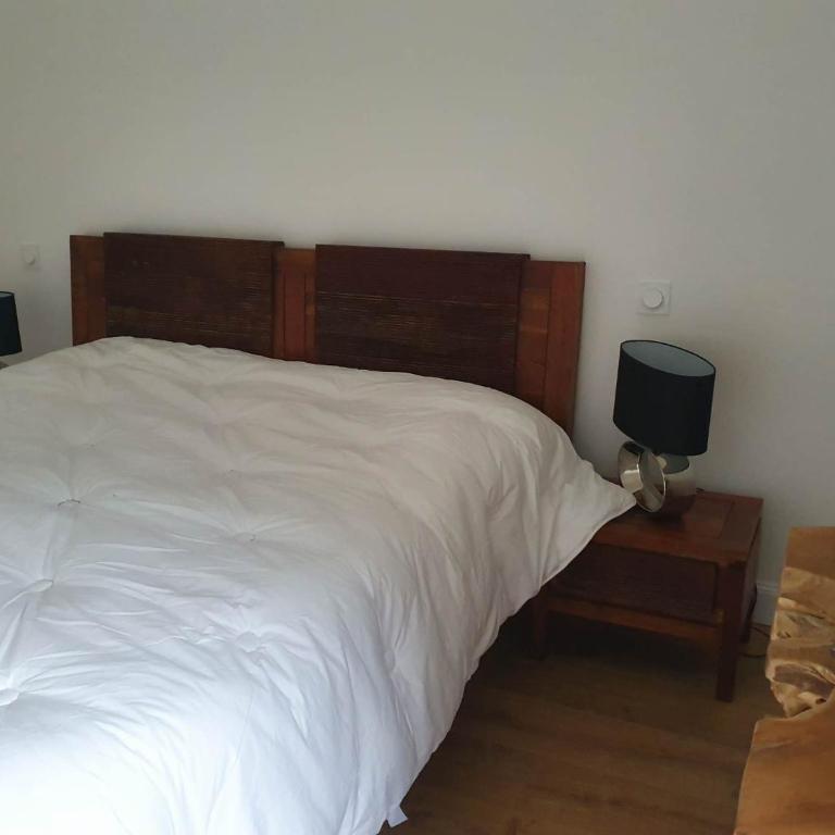 Appartement 150m2 - 5mn du téléphérique de l'Olympe - domaine des 3 vallées - Appartement Deluxe - 39
