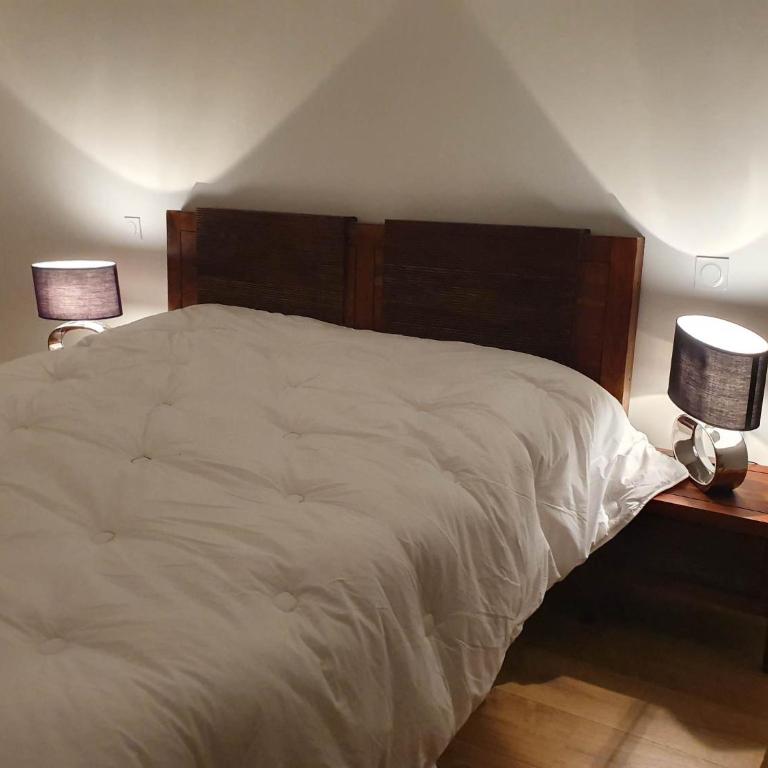 Appartement 150m2 - 5mn du téléphérique de l'Olympe - domaine des 3 vallées - Appartement Deluxe - 41