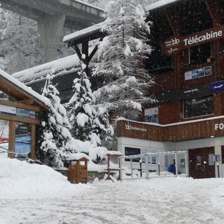 Appartement 150m2 - 5mn du téléphérique de l'Olympe - domaine des 3 vallées - Appartement Deluxe - 76