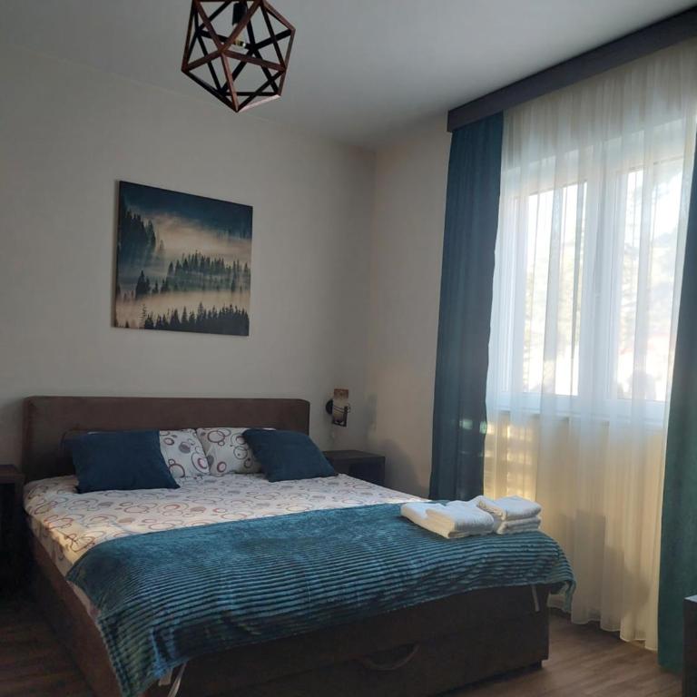Apartmani Borova Iglica Divčibare - Deluks Dvokrevetna Soba sa Bračnim Krevetom/Zasebnim Krevetima i Pogledom na Planinu - 25