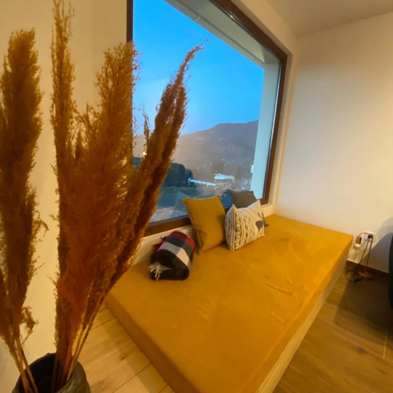 Villa Luce - Vila sa 2 Spavaće Sobe - 15