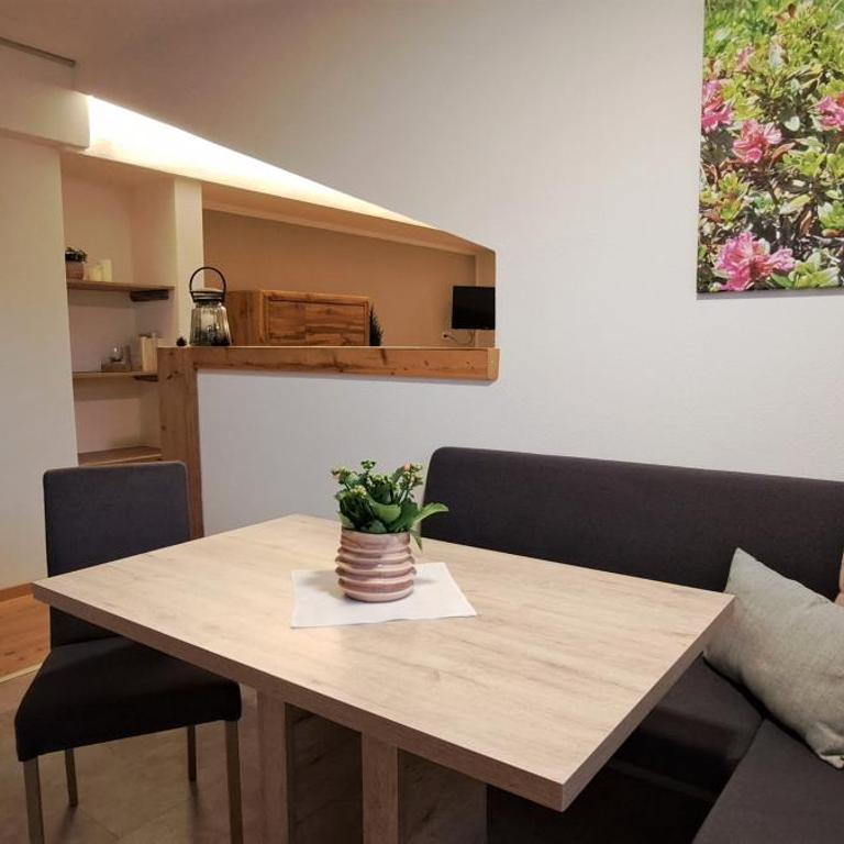 Unterlettlhof - Apartamento de 1 dormitorio - 19