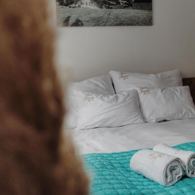 Vila Jelena - Double Room with Private Bathroom - 10