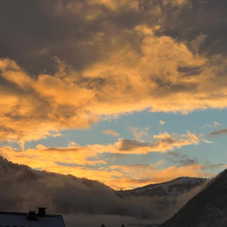 Mont Blanc 43, vue Mont Blanc , balcon, parking - Appartement 1 Chambre - 31