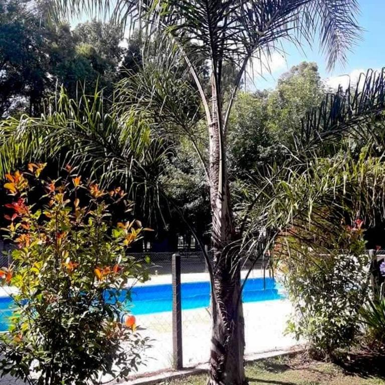 Hotel y Casa de Campo Oasis Campero - Ezeiza Aeropuerto -San Vicente - Casa Unifamiliar de 3 dormitorios - 2