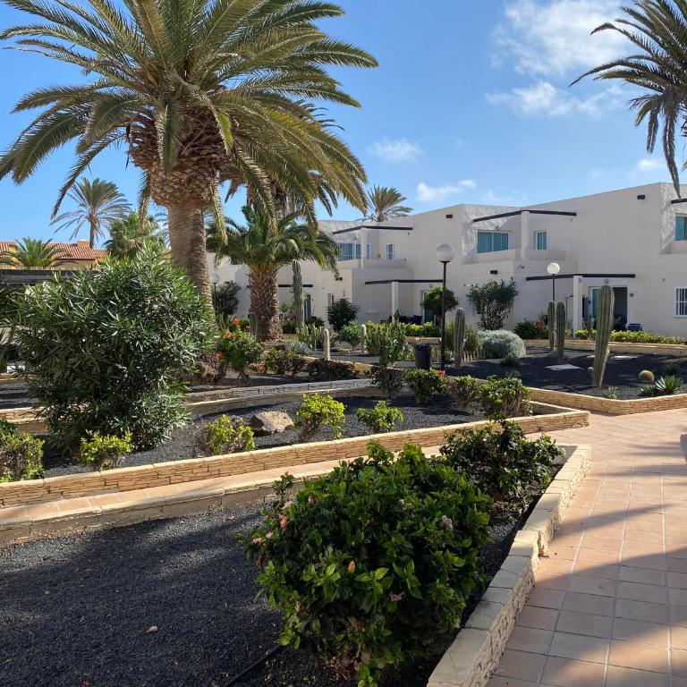 Fuerkanda Apartment, Corralejo - Apartamento de 1 dormitorio - 18