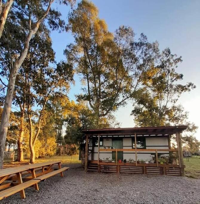 El Vagón de Ceci - Apartamento de 2 dormitorios - 4