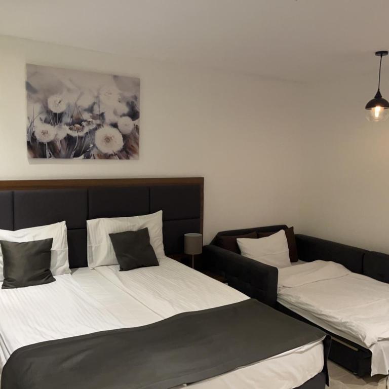 Apart Hotel & spa Zoned II, Kopaonik, apartman Lukač - special benifit Children up to 17 of age accompanied by two adutls staj for free! FREE PARKING! - Deluxe King Studio - 10
