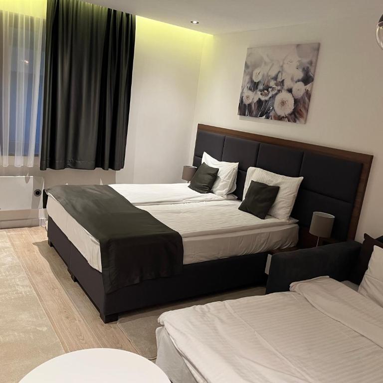 Apart Hotel & spa Zoned II, Kopaonik, apartman Lukač - special benifit Children up to 17 of age accompanied by two adutls staj for free! FREE PARKING! - Deluxe King Studio - 13