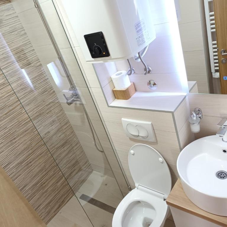 Acero Verde Jahorina - Studio - 6