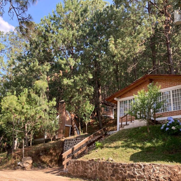Cabañas las Alazanas - Bungalow - 1