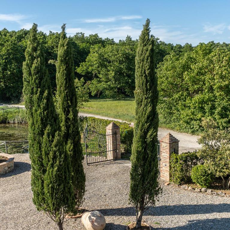 Exclusive Villa with pool Borgo Pian di Sala - Villa - 16
