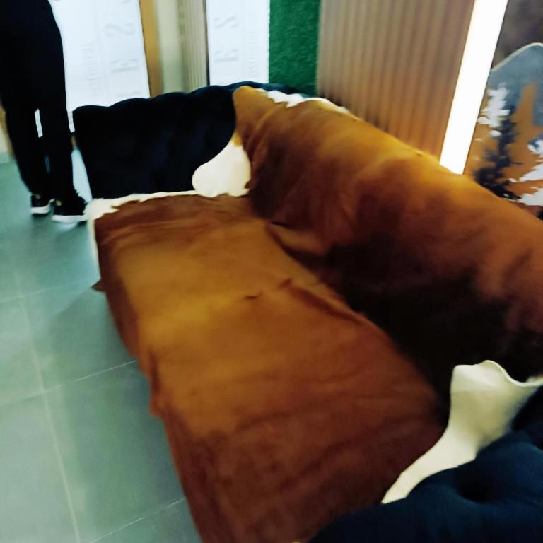 President KOP A515 - One-Bedroom Apartment - 86