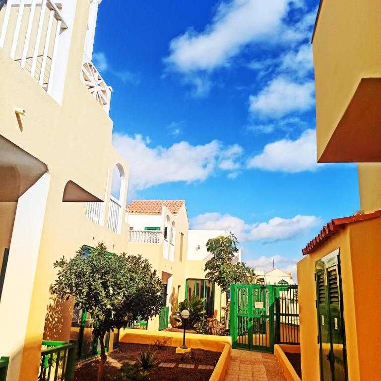 Caleta Paraiso 127 - Apartamento de 1 dormitorio - 24