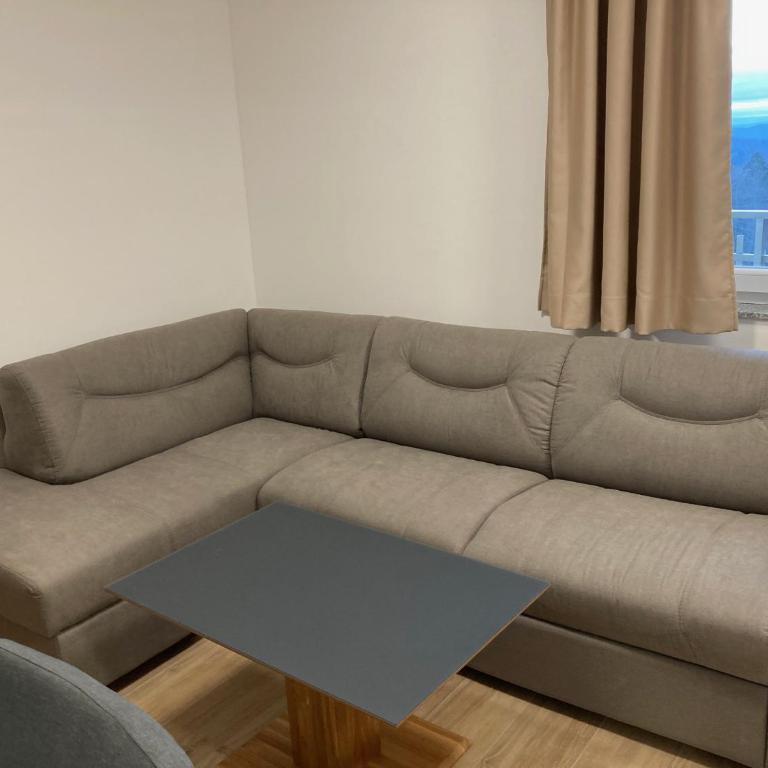 Vila TRNOVO - One-Bedroom Apartment - 11