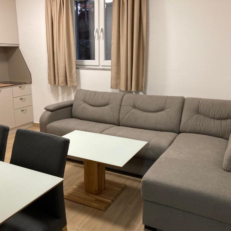 Vila TRNOVO - One-Bedroom Apartment - 6