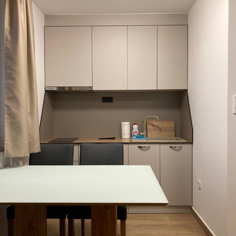 Vila TRNOVO - One-Bedroom Apartment - 9