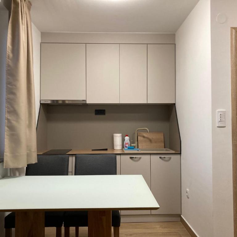 Vila TRNOVO - One-Bedroom Apartment - 1