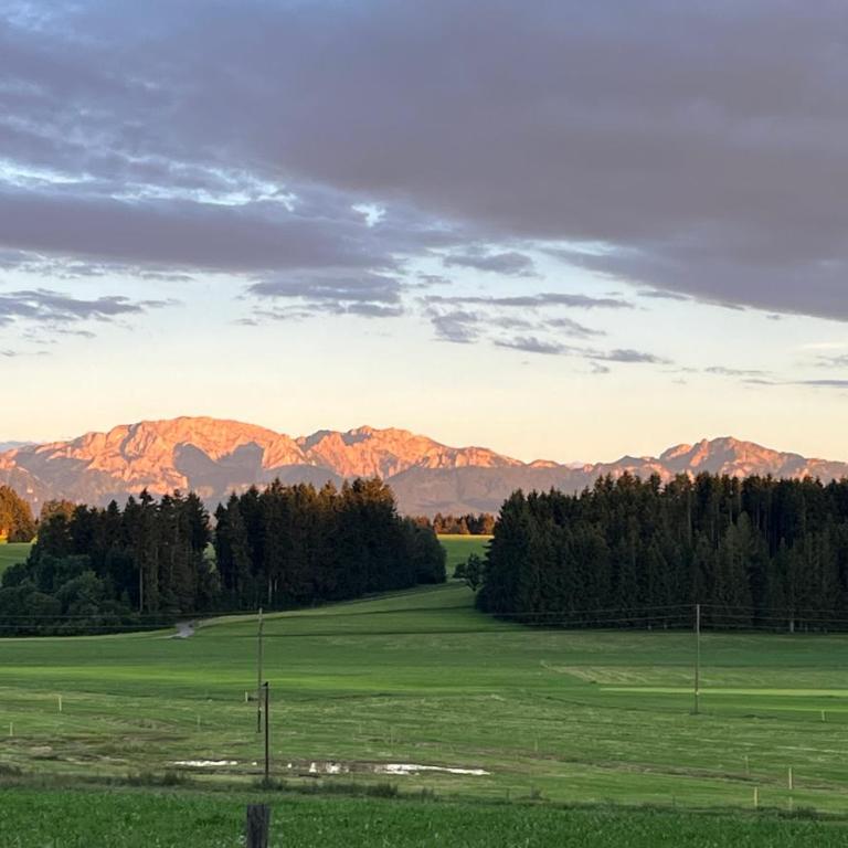 Allgäu Pension "Ab in den Süden" - Studio mit Bergblick - 17