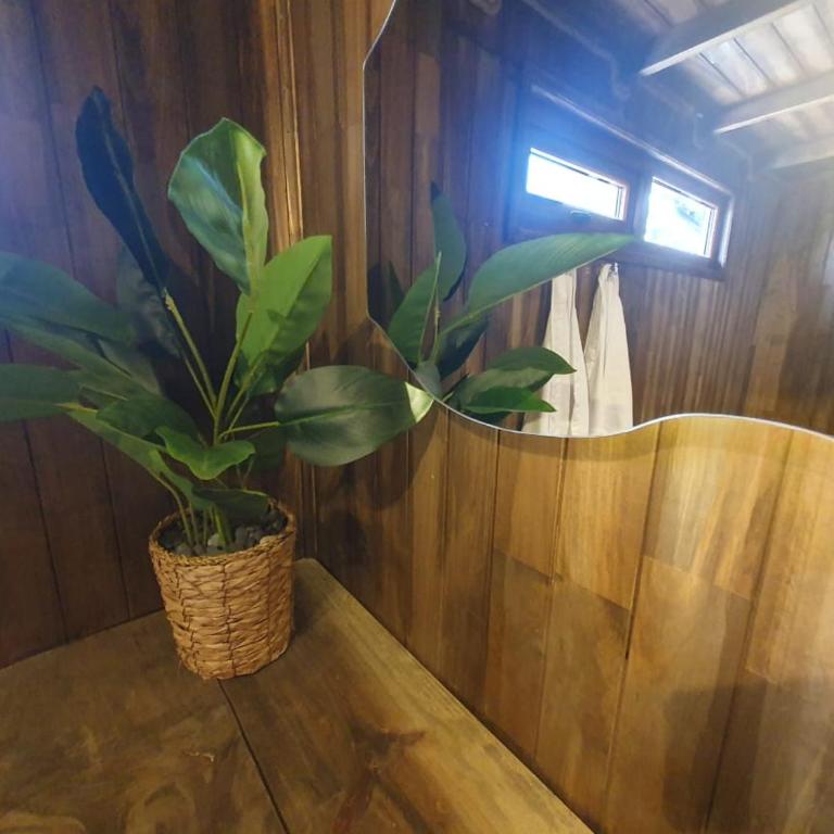 Domos Anulen - Apartamento de 1 dormitorio - 25