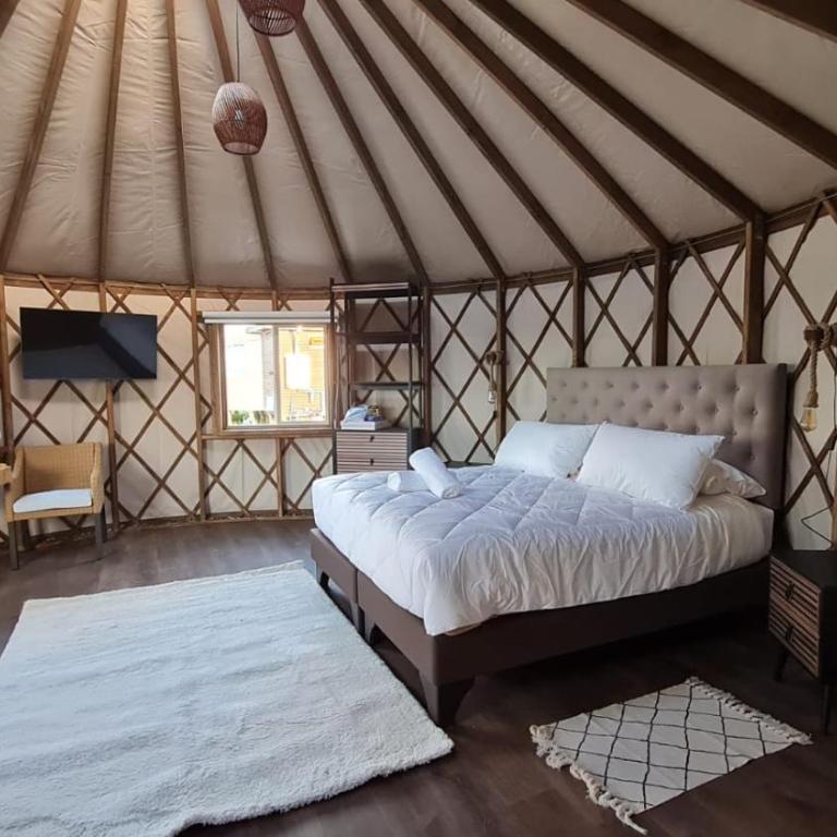 Domos Anulen - Apartamento de 1 dormitorio - 47