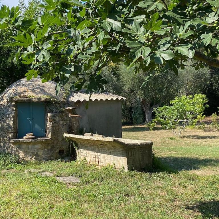 Domaine des Encourdoules villa luxueuse et raffinée sur un hectare face à la mer - Villa - 10