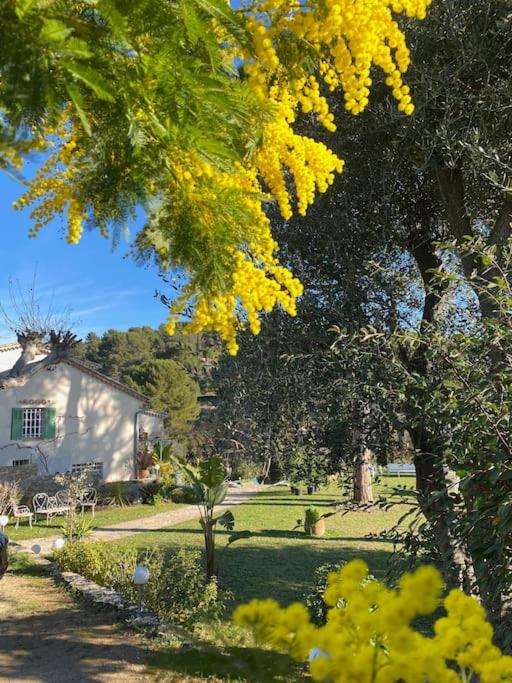 Domaine des Encourdoules villa luxueuse et raffinée sur un hectare face à la mer - Villa - 52