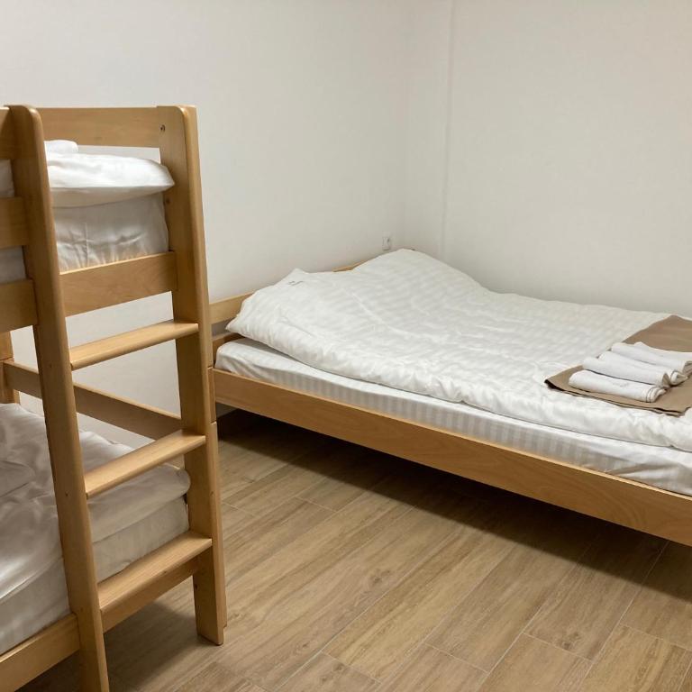 Vila TRNOVO - One-Bedroom Apartment - 12