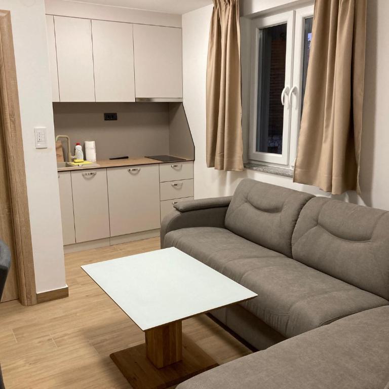Vila TRNOVO - One-Bedroom Apartment - 8