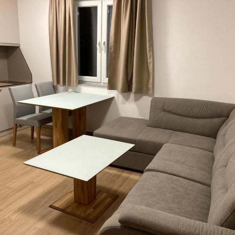 Vila TRNOVO - One-Bedroom Apartment - 1