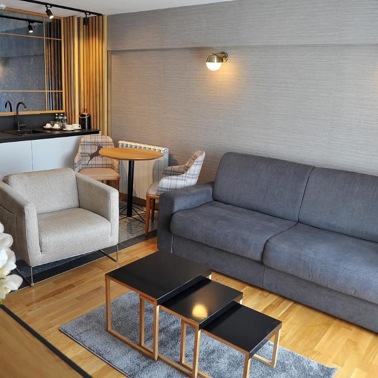 Modern Mountain - Superior Apartman Tipa Suite s King-sajz Krevetom - 7