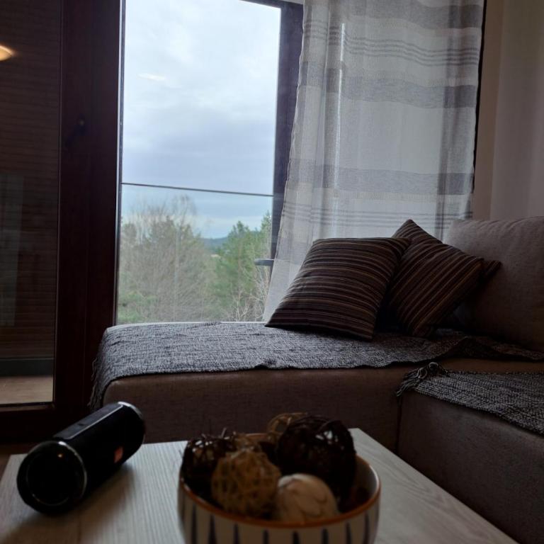 Divcibor 23 - Apartman sa 1 Spavaćom Sobom - 8