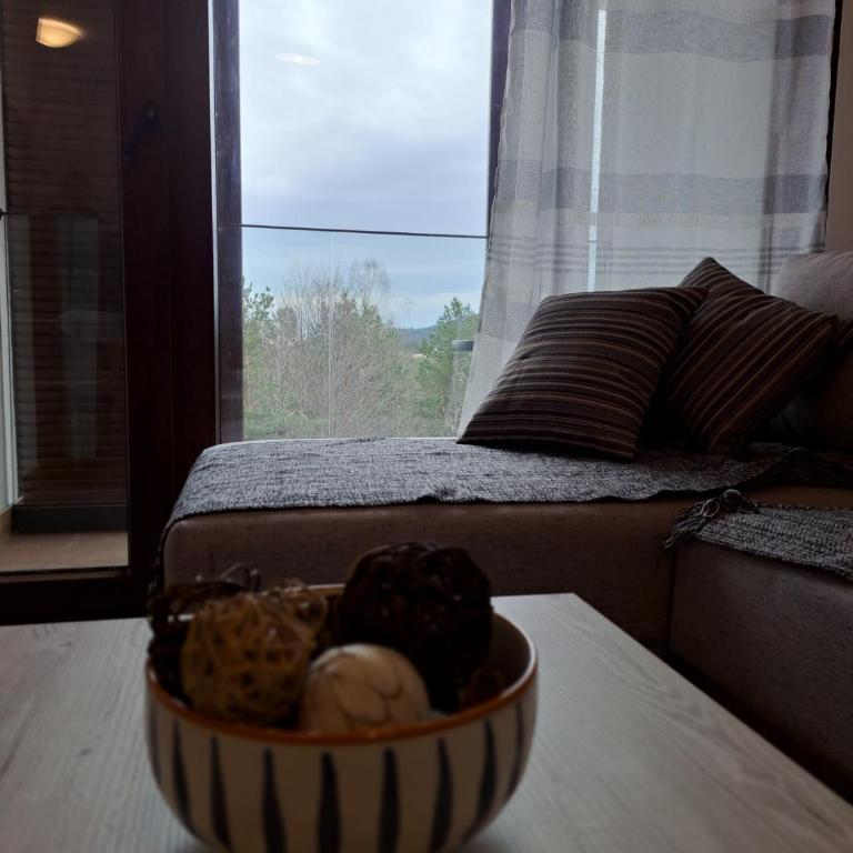 Divcibor 23 - Apartman sa 1 Spavaćom Sobom - 7